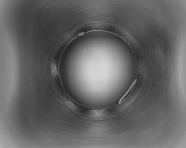 X0000112940089200908241329