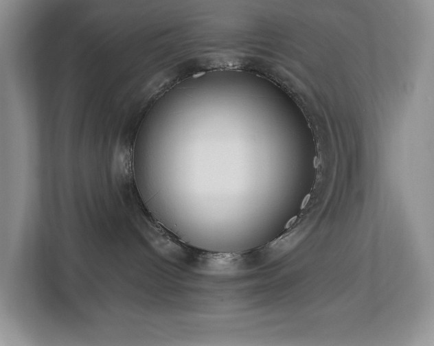 X0000112940096200908241329