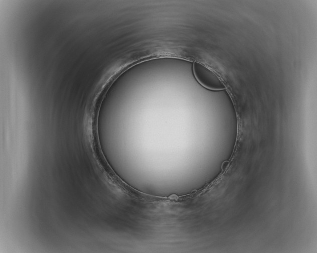 X0000112940098200908241328