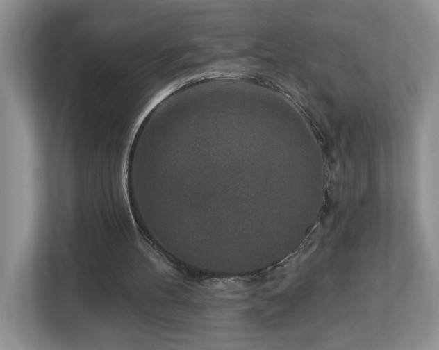 X0000112940100200908241328
