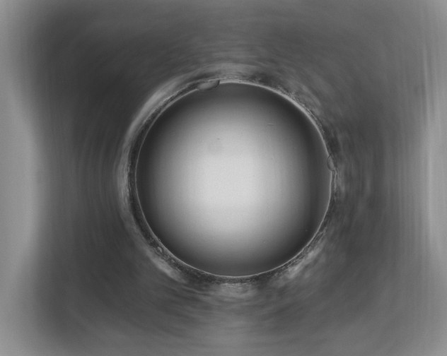 X0000112940101200908241328
