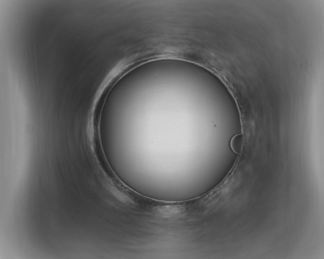 X0000112940102200908241328