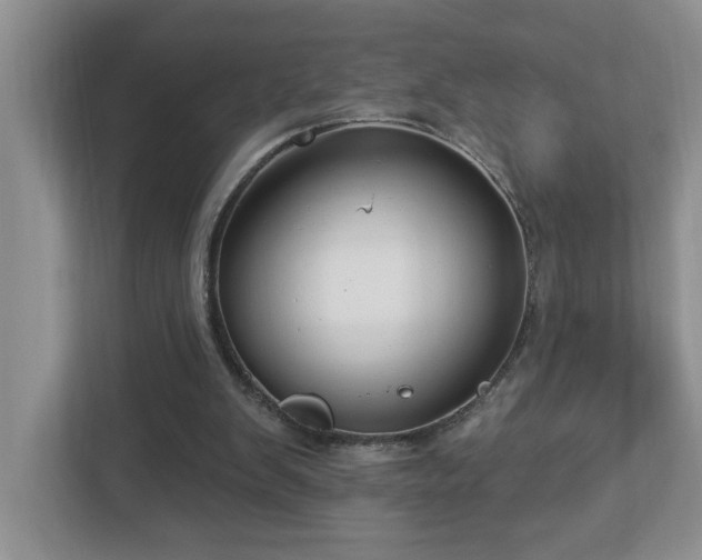 X0000112940103200908241328
