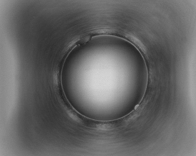 X0000112940105200908241328