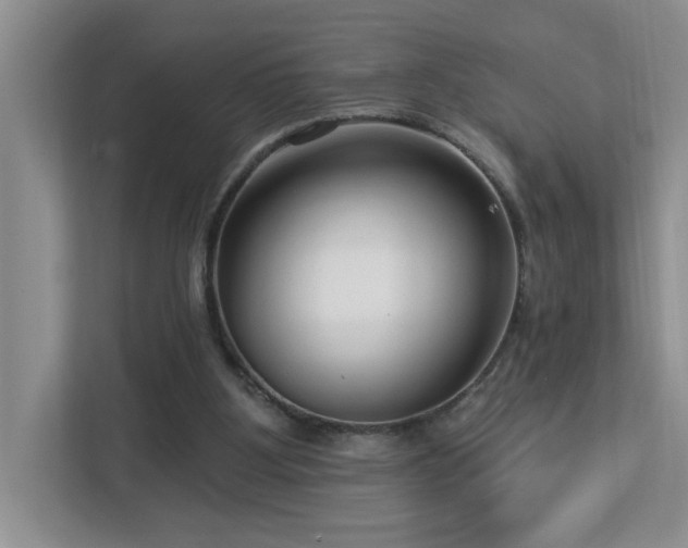 X0000112940107200908241328