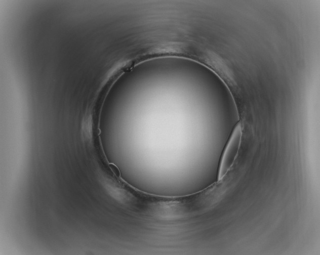 X0000112940108200908241328
