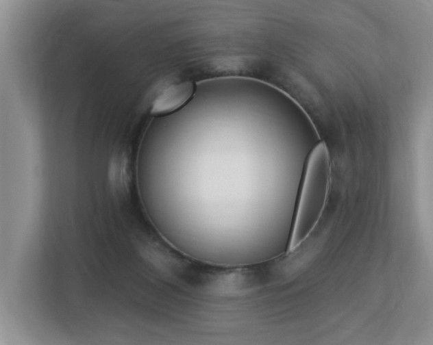 X0000112940116200908241328