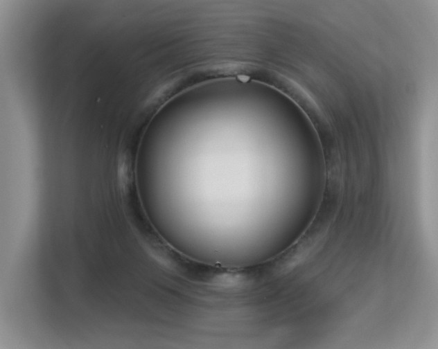 X0000112940119200908241328
