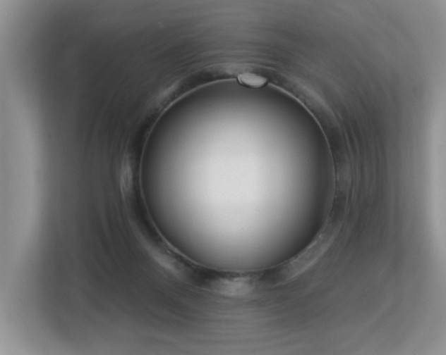 X0000112940120200908241328