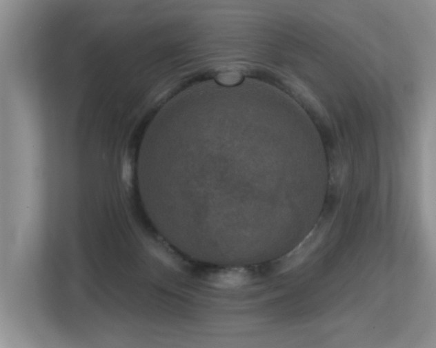 X0000112940124200908241328