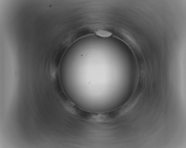 X0000112940125200908241328
