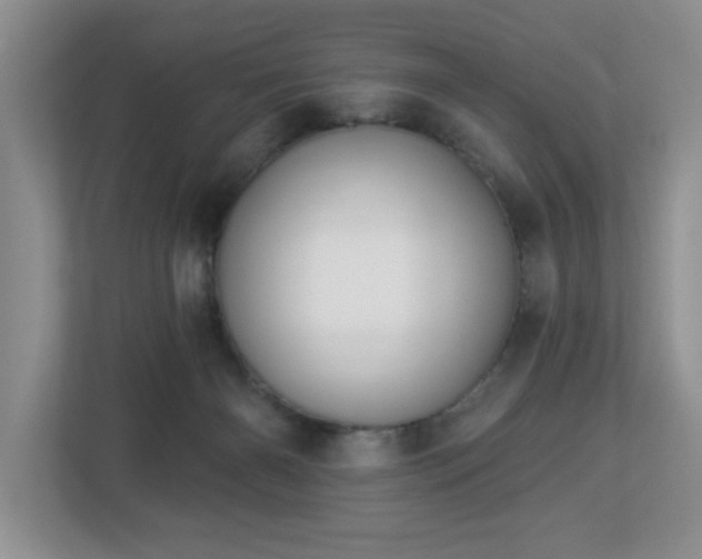 X0000112940126200908241328
