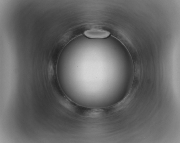 X0000112940128200908241328