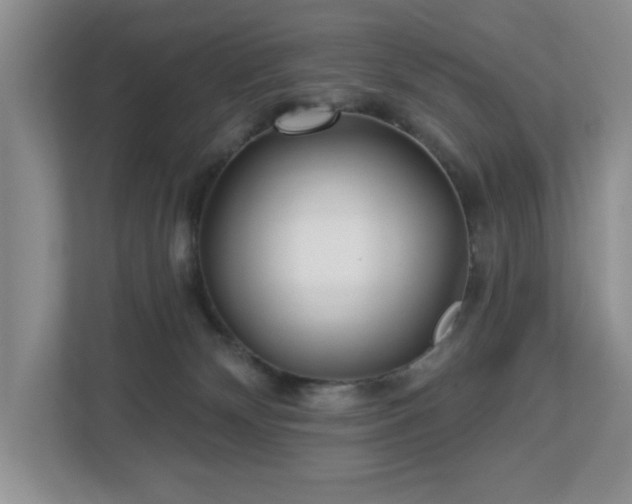 X0000112940132200908241328