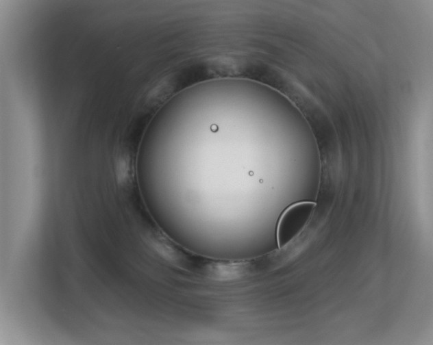 X0000112940134200908241328