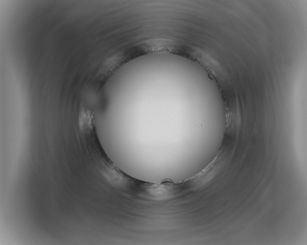 X0000112940142200908241328