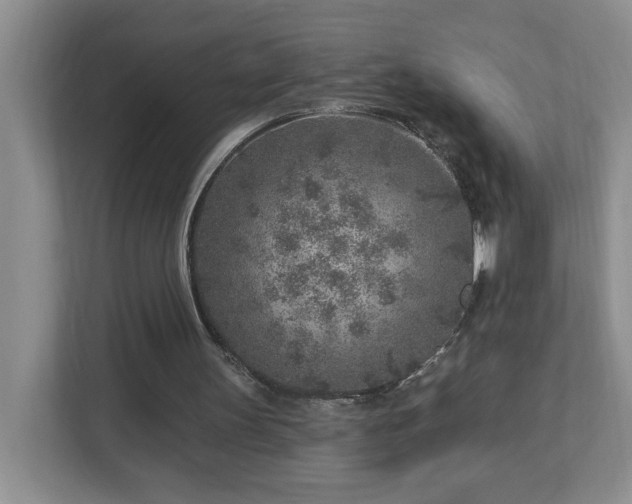 X0000112940147200908241327
