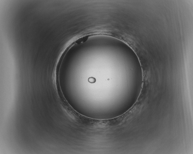 X0000112940148200908241327