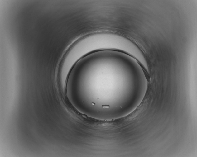 X0000112940156200908241327