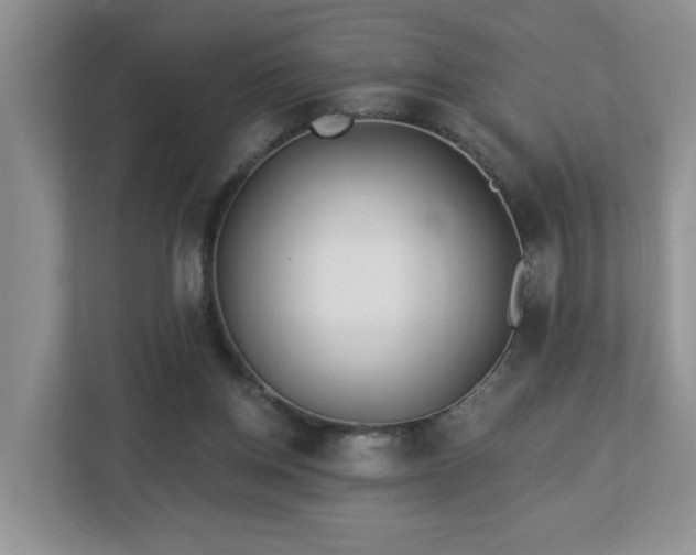 X0000112940158200908241327