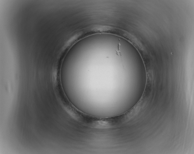 X0000112940159200908241327
