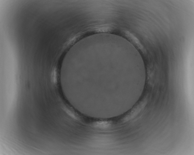 X0000112940161200908241327