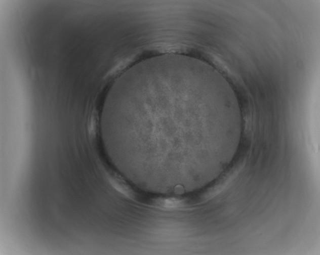 X0000112940165200908241327