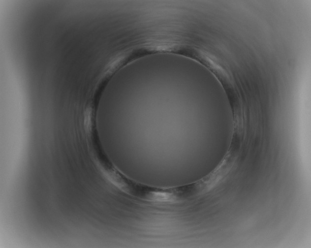 X0000112940167200908241327
