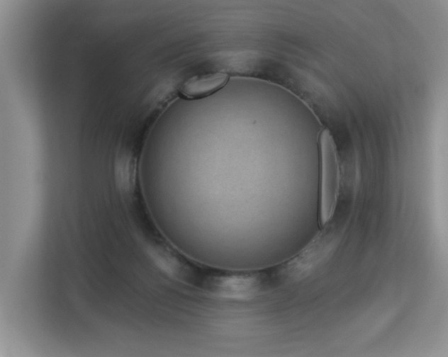X0000112940168200908241327