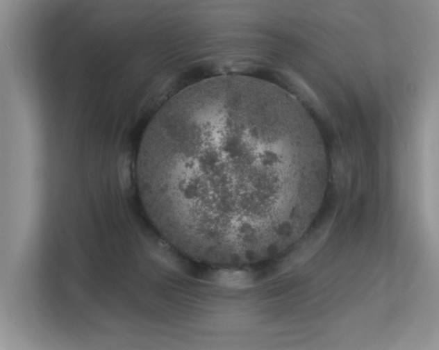 X0000112940169200908241327