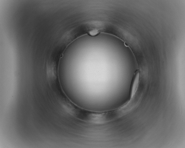 X0000112940170200908241327