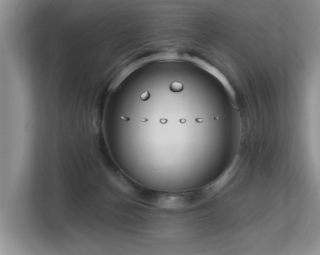 X0000112940174200908241327