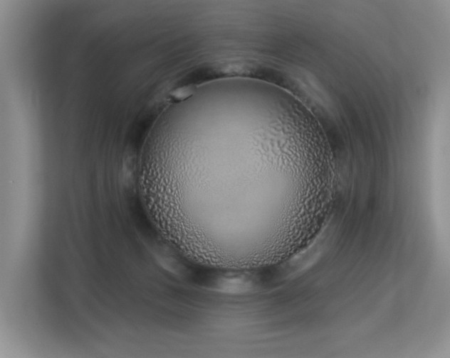 X0000112940175200908241327
