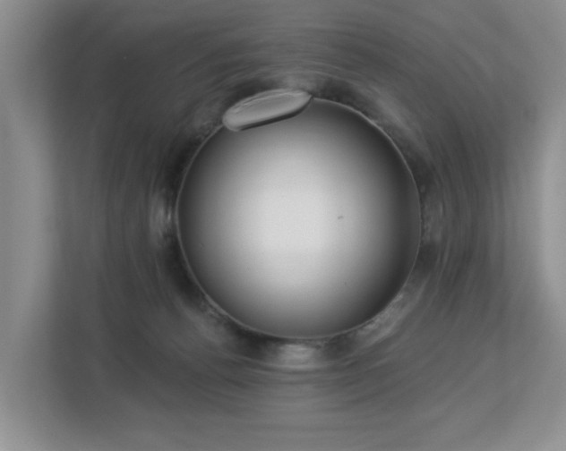 X0000112940176200908241327