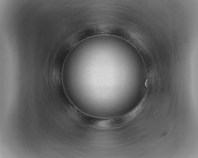 X0000112940178200908241328