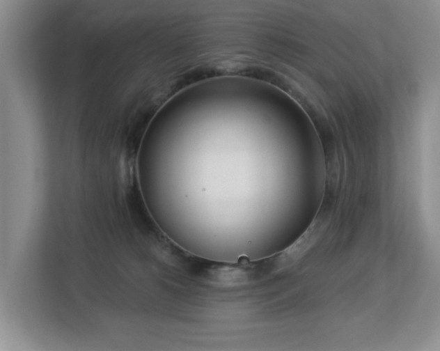 X0000112940180200908241328