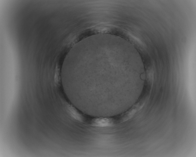X0000112940181200908241328