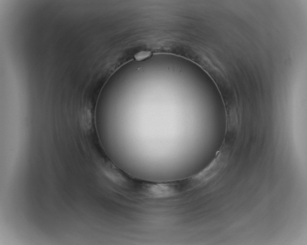 X0000112940183200908241328