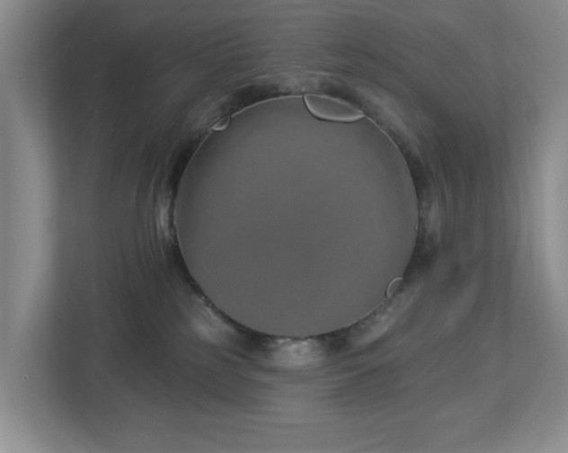 X0000112940185200908241328