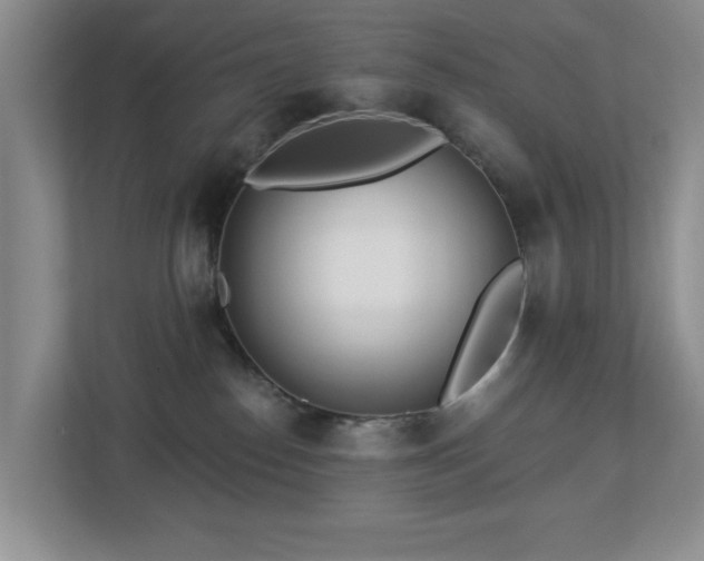 X0000112940186200908241328