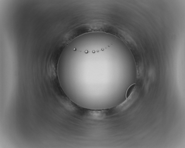 X0000112940187200908241328