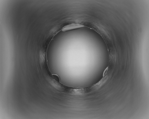 X0000112940188200908241328