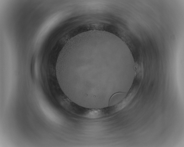 X0000112940189200908241328