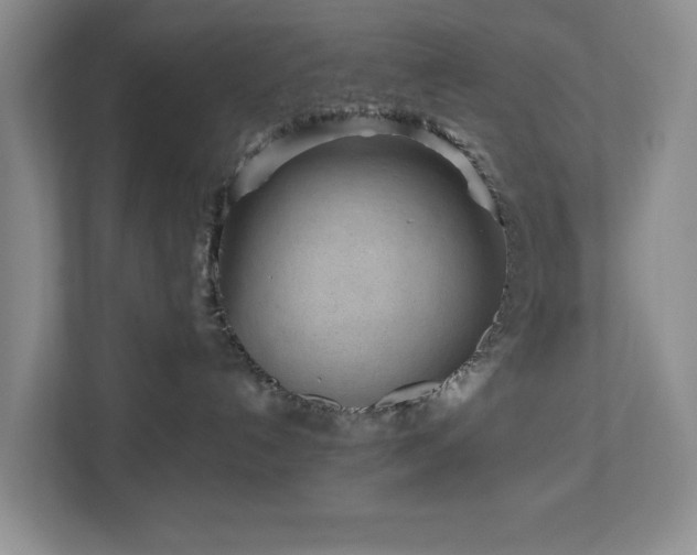 X0000112940192200908241328