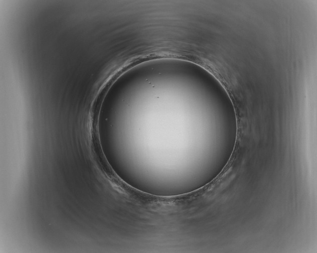 X0000112940194200908241327