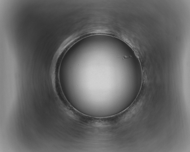 X0000112940199200908241327