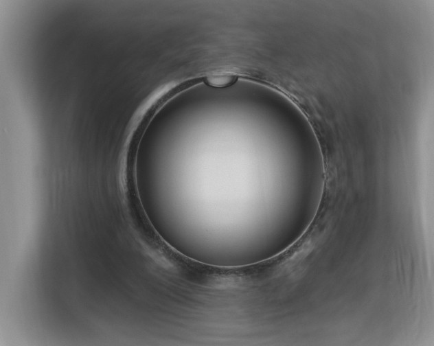X0000112940200200908241327
