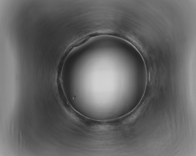X0000112940201200908241327