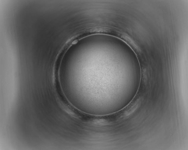 X0000112940203200908241327