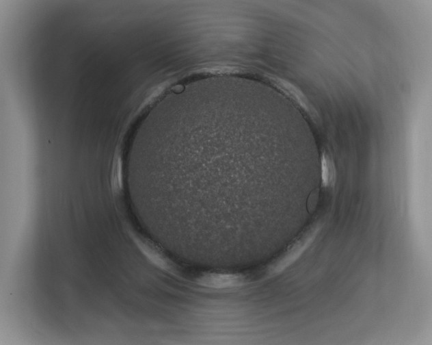 X0000112940205200908241327